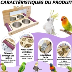 DOWNYPAWS - Miroir oiseau - perchoir en bois avec miroir