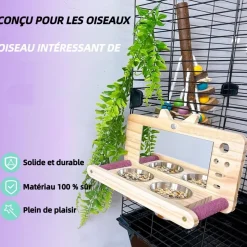DOWNYPAWS - Miroir oiseau - perchoir en bois avec miroir