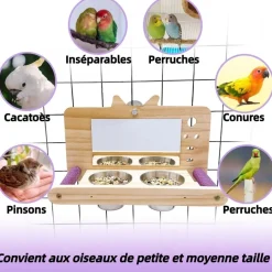DOWNYPAWS - Miroir oiseau - perchoir en bois avec miroir