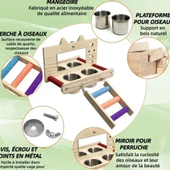 DOWNYPAWS - Miroir oiseau - perchoir en bois avec miroir