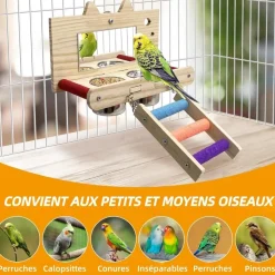 DOWNYPAWS - Miroir oiseau - perchoir en bois avec miroir