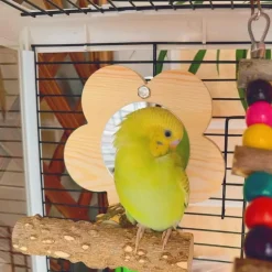 DOWNYPAWS - Miroir perche pour perroquet 15*8cm