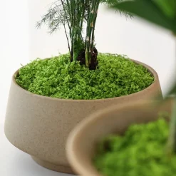 DOWNYPAWS - Mousse artificielle à grains fins pour gazon en pot 100 g vert foncé