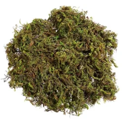 DOWNYPAWS - Mousse sèche naturelle de qualité supérieure 1000g