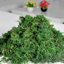 DOWNYPAWS - Mousse sèche, qualité supérieure, pour décoration, matériau pour couronnes et miniatures 50g