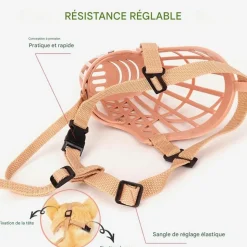 DOWNYPAWS - Muselière pour chien-convient aux chiens de moins de 15 kg-beige