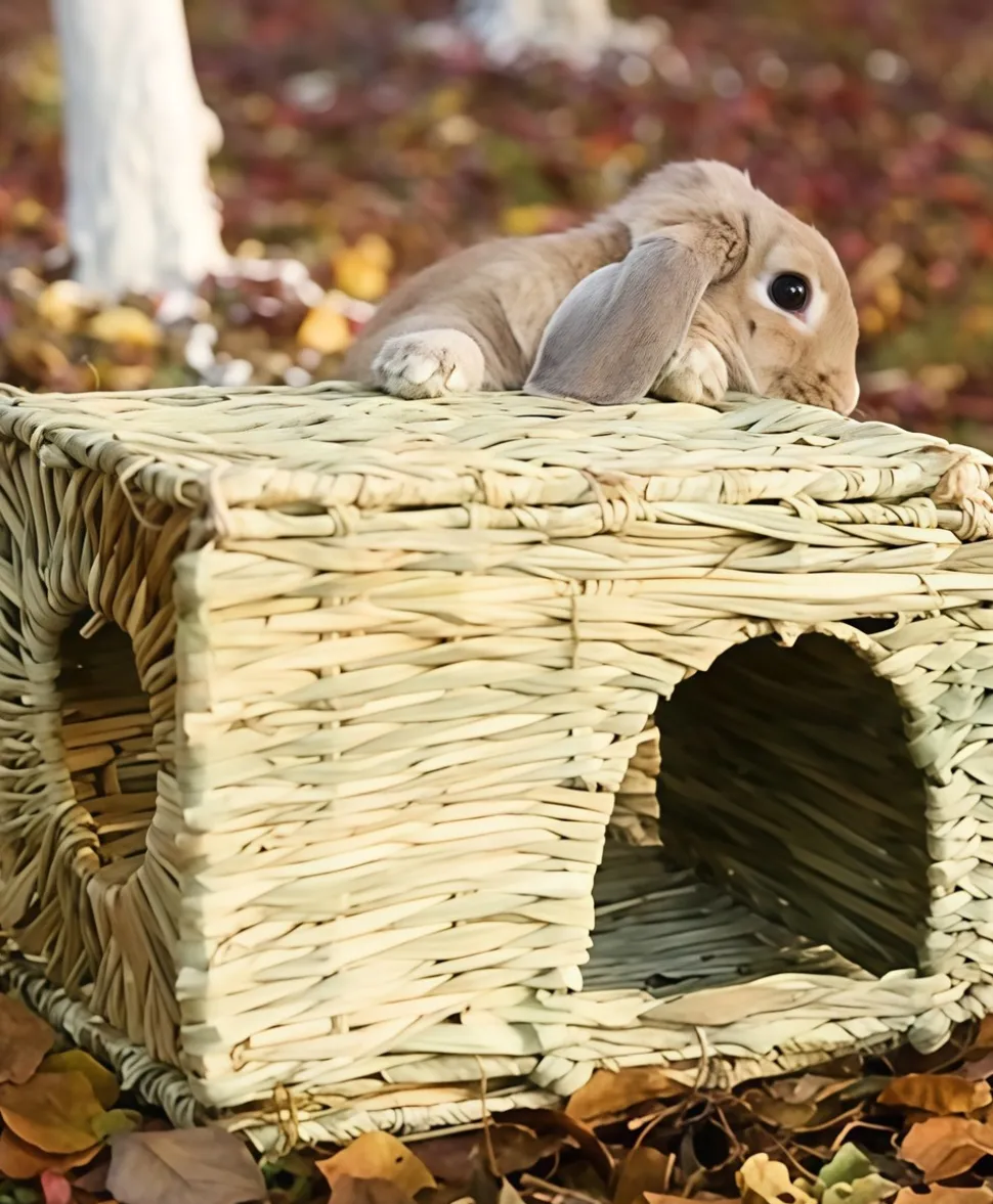 DOWNYPAWS - Nid de lapin en herbe tissée fait main - cage et lit en paille naturelle pour petits animaux