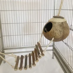 DOWNYPAWS - Nid d'oiseau naturel en coquille de noix de coco avec corde