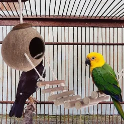 DOWNYPAWS - Nid d'oiseau, noix de conduite à perruche accrochée à la noix