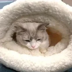 DOWNYPAWS - Nid douillet pour chats et chiens