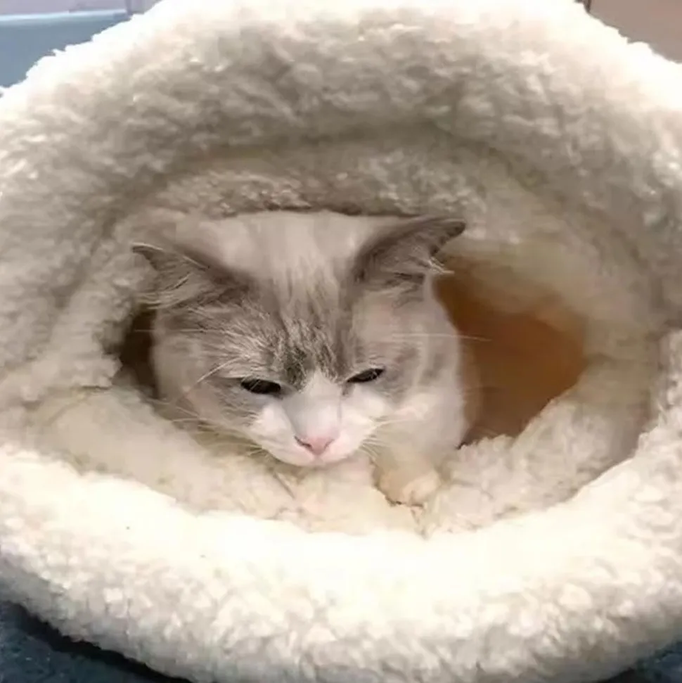 DOWNYPAWS - Nid douillet pour chats et chiens