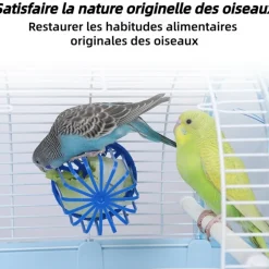 DOWNYPAWS - Nourrisseur - adapté pour oiseaux perroquets