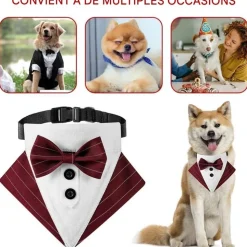 DOWNYPAWS - Nœud papillon pour chien