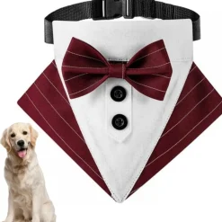 DOWNYPAWS - Nœud papillon pour chien