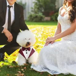 DOWNYPAWS - Nœud papillon pour chien