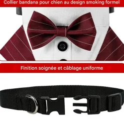 DOWNYPAWS - Nœud papillon pour chien