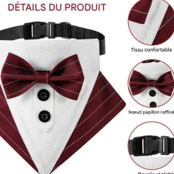 DOWNYPAWS - Nœud papillon pour chien