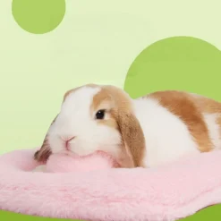 DOWNYPAWS - Panier - coussin doux pour lapins et écureuils