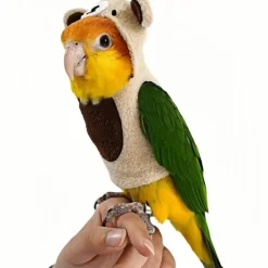 DOWNYPAWS - Pantalon de pigeon - tissu en forme d'ours