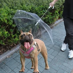 DOWNYPAWS - Parapluie transparent imperméable pour chien-diamètre du parapluie 70 cm