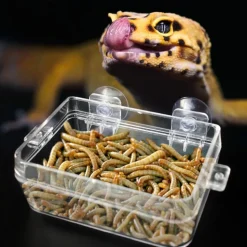 DOWNYPAWS - Plat pour reptiles