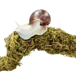 DOWNYPAWS - Poteau d'escalade en mousse 60 cm pour animaux de compagnie