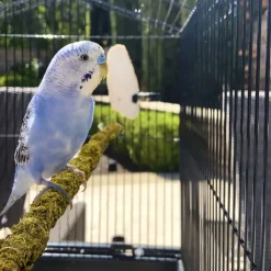 DOWNYPAWS - Poteau d'escalade en mousse 60 cm pour animaux de compagnie