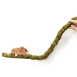 DOWNYPAWS - Poteau d'escalade en mousse 30 cm pour animaux de compagnie