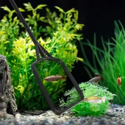 DOWNYPAWS - Épuisette renforcée noire - taille grande