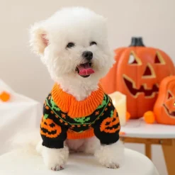 DOWNYPAWS - Pull d'halloween pour chiot,citrouille effrayante