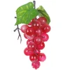 DOWNYPAWS - Raisins artificiels très réalistes 24 rouges * 3