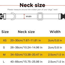 DOWNYPAWS - Réfléchissant collier pour chien