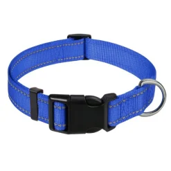 DOWNYPAWS - Réfléchissant collier pour chien