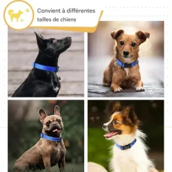 DOWNYPAWS - Réfléchissant collier pour chien