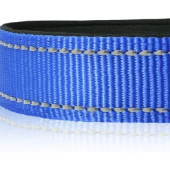 DOWNYPAWS - Réfléchissant collier pour chien