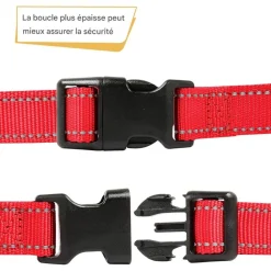 DOWNYPAWS - Réfléchissant collier pour chien