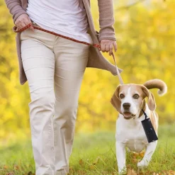 DOWNYPAWS - Sac pour chat-sac de transport pliable pour chat et chien-rose-42*33*28.5cm