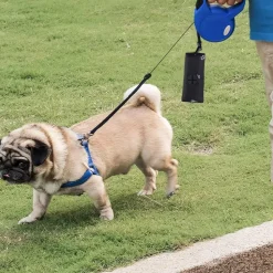 DOWNYPAWS - Sac pour chat-sac de transport pliable pour chat et chien-rose-42*33*28.5cm