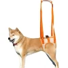 DOWNYPAWS - Sangle de soutien des pattes arrières pour chien