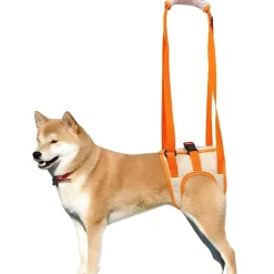 DOWNYPAWS - Sangle de soutien des pattes arrières pour chien