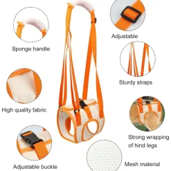 DOWNYPAWS - Sangle de soutien des pattes arrières pour chien