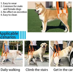 DOWNYPAWS - Sangle de soutien des pattes arrières pour chien