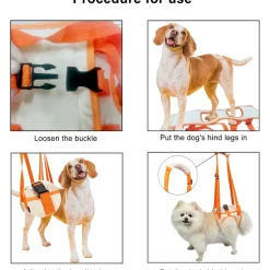 DOWNYPAWS - Sangle de soutien des pattes arrières pour chien