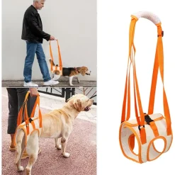 DOWNYPAWS - Sangle de soutien des pattes arrières pour chien