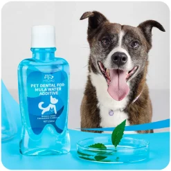 DOWNYPAWS - Solution de nettoyage buccal pour chiens et chats - 250 ml - protège les dents
