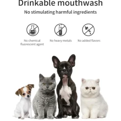DOWNYPAWS - Solution de nettoyage buccal pour chiens et chats - 250 ml - protège les dents