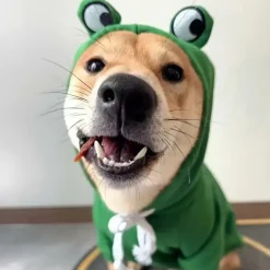 DOWNYPAWS - Sweat à capuche tricoté, thème grenouille, pour chatons