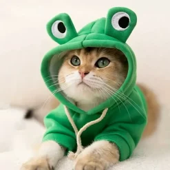 DOWNYPAWS - Sweat à capuche tricoté, thème grenouille, pour chatons