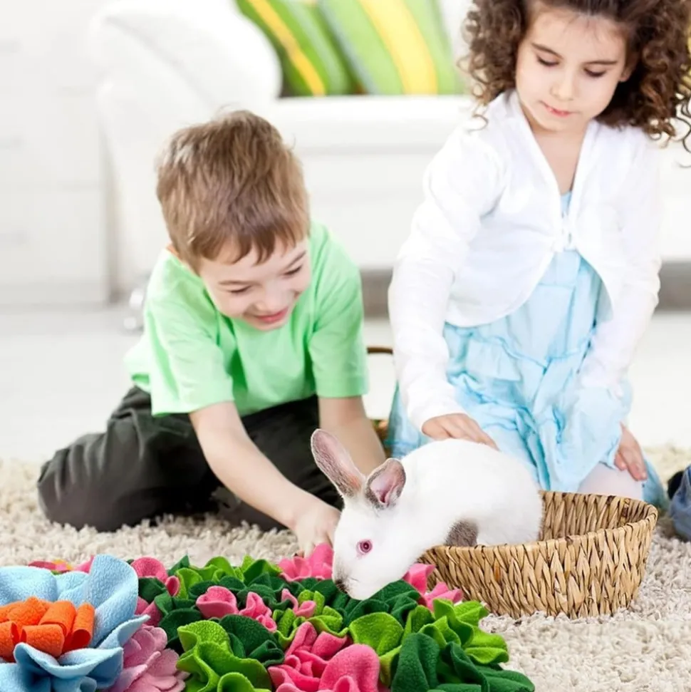 DOWNYPAWS - Tapis de conservation des aliments-coussin à renifler pour chiens et petits animaux-45*25cm