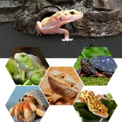 DOWNYPAWS - Tapis de terrarium - substrat pour reptiles